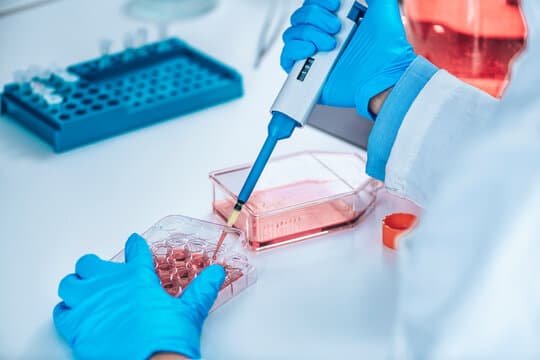 Cell culture techniques