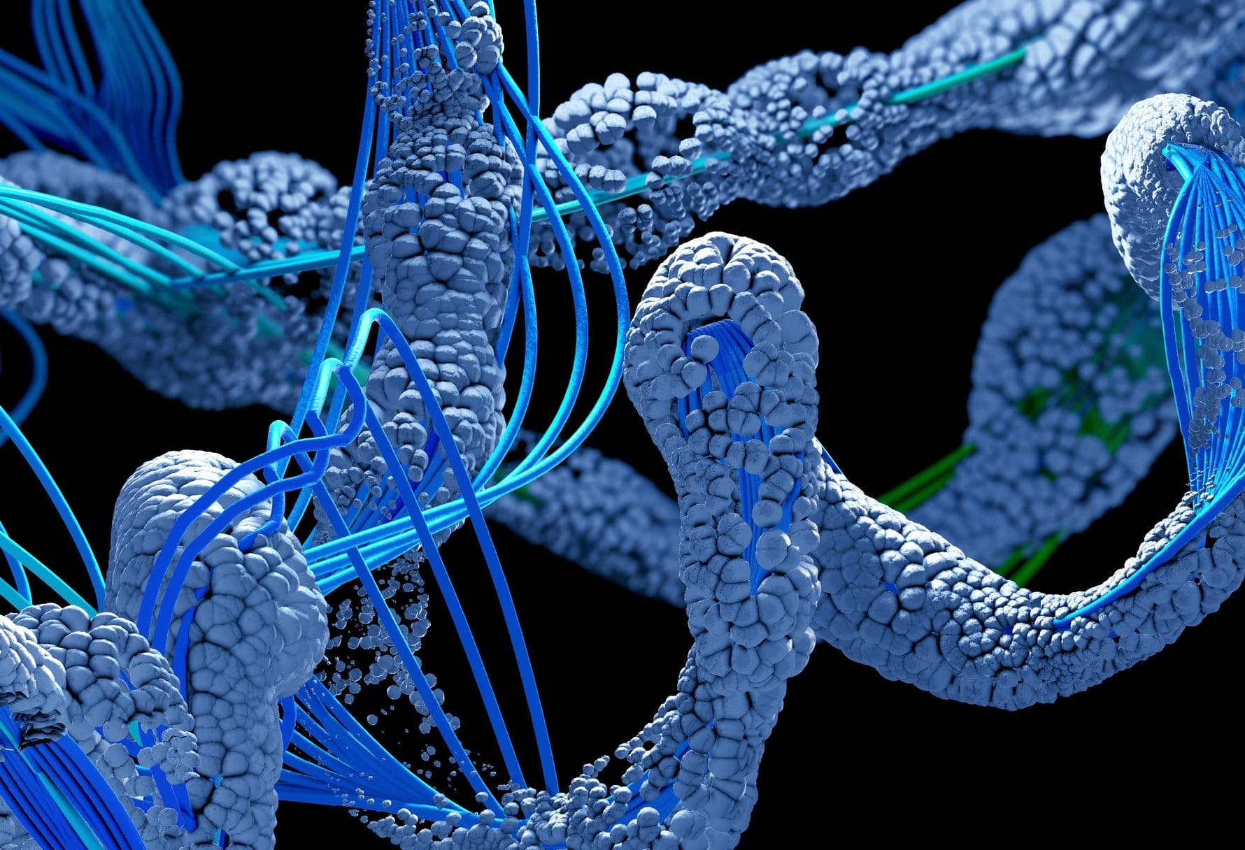 Protein Biochemistry